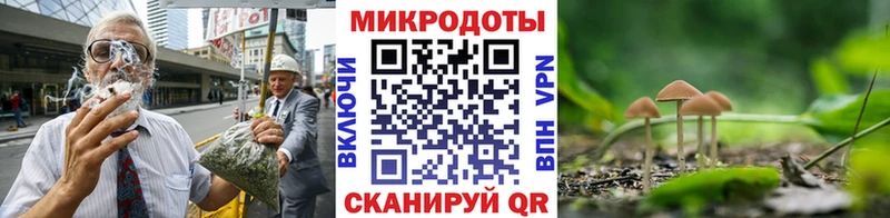 Купить закладки  Берёзовский  Галлюциногенные грибы Cubensis 