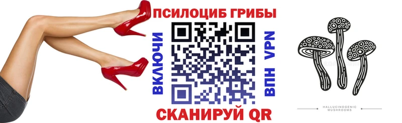 Галлюциногенные грибы ЛСД Берёзовский